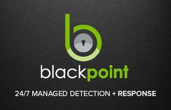 blackpoint cyber 247 managed detection response realtime visibility intelligent response 550